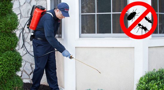 Kargı Kemirgen İlaçlama böcek ilaçlama ve haşere kontrolü — ilaclama-tr.com